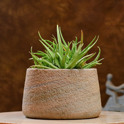 Rustic Stone Planter Pot