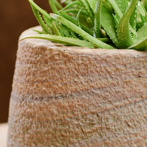 Rustic Stone Planter Pot