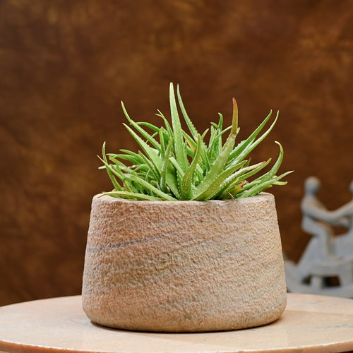 Rustic Stone Planter Pot