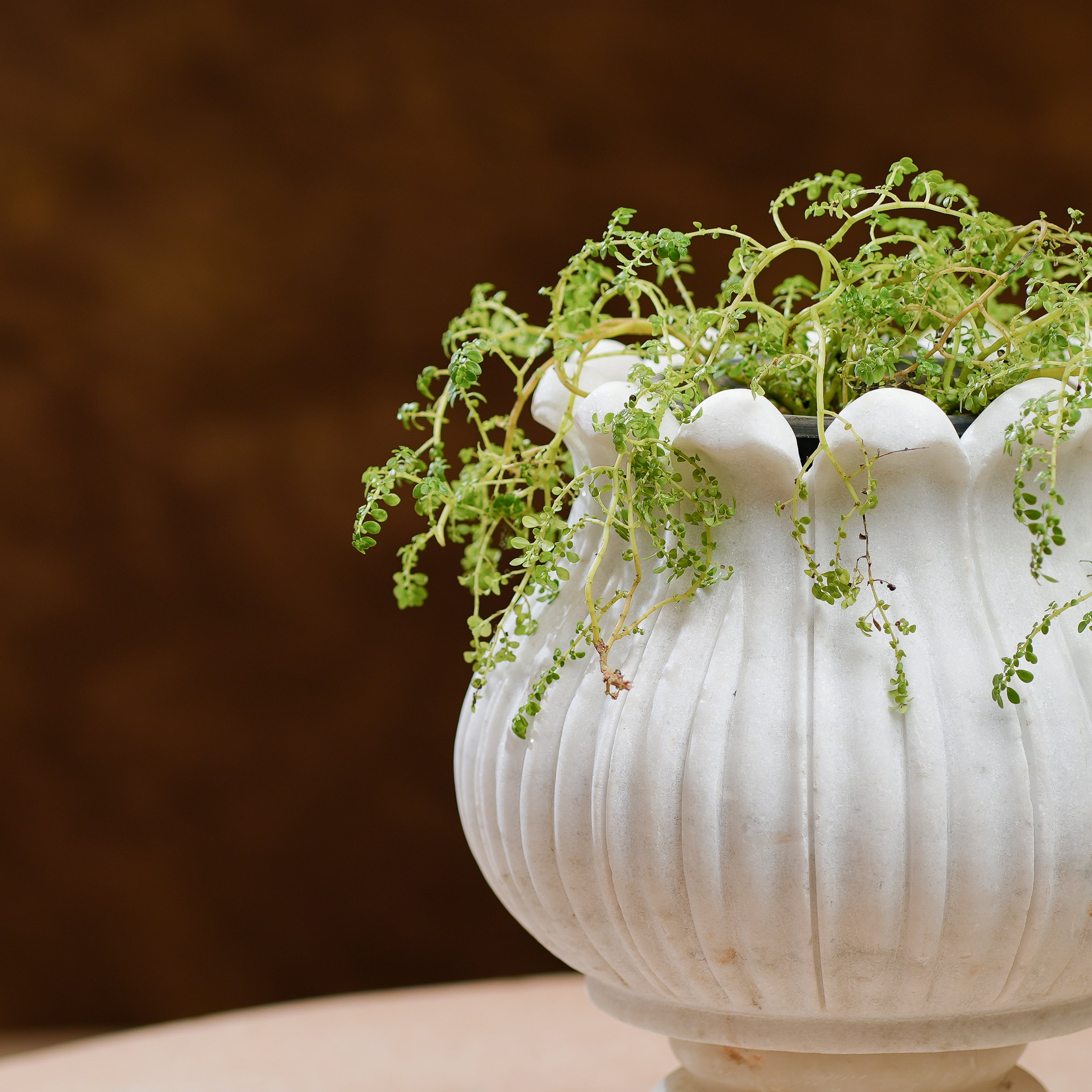 Handcrafted White Marble Lotus Planter  Elegant Pedestal Design