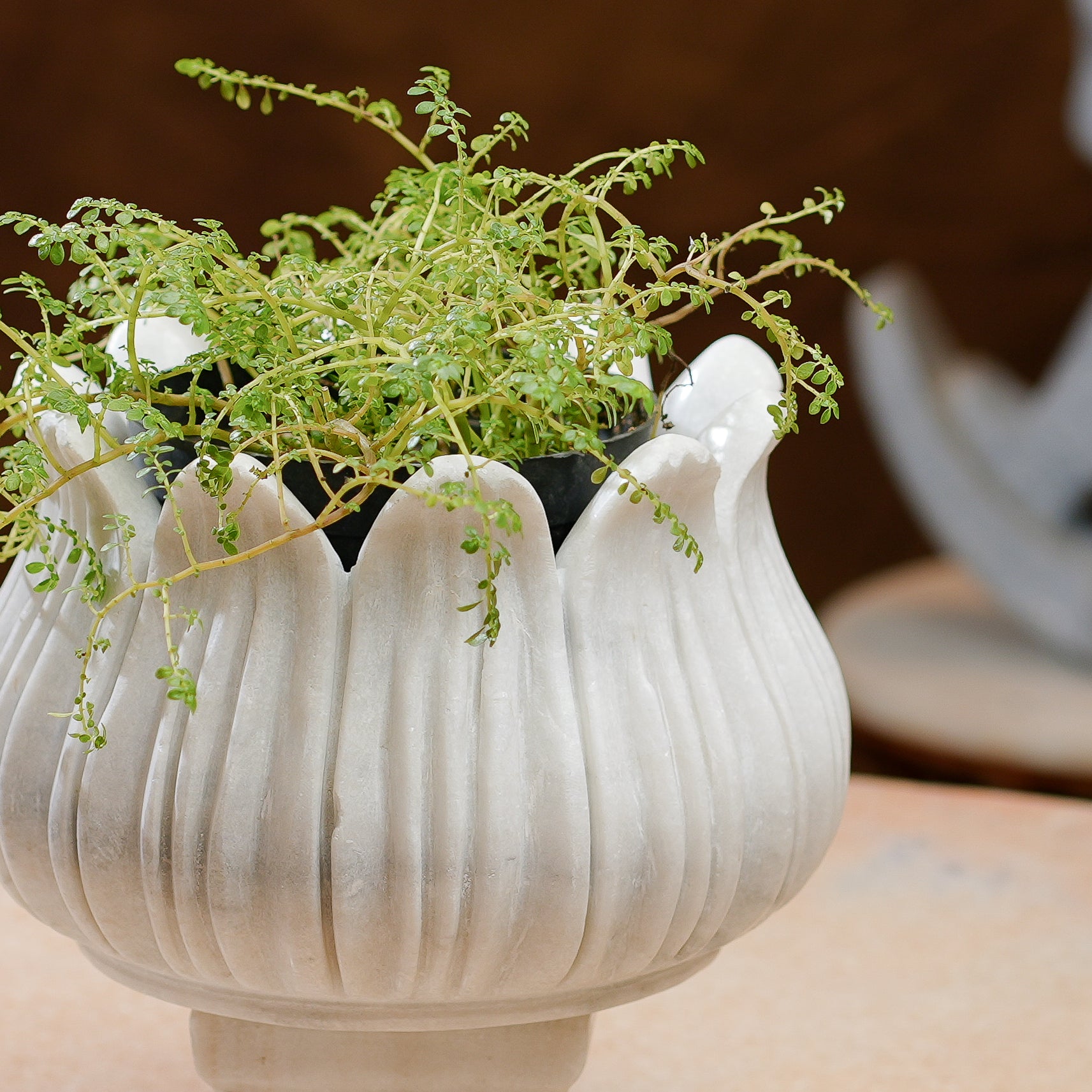 Handcrafted White Marble Lotus Planter  Elegant Pedestal Design